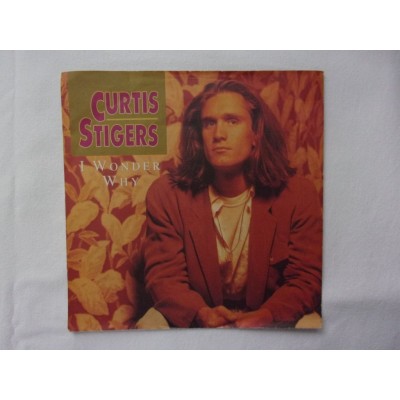 Curtis Stigers - I wonder way