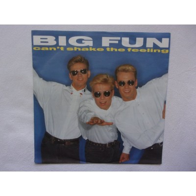 Big fun - Can't shake the feeling