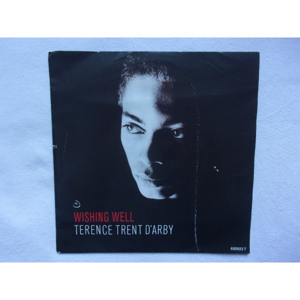 Terence trent darby - Wishing well