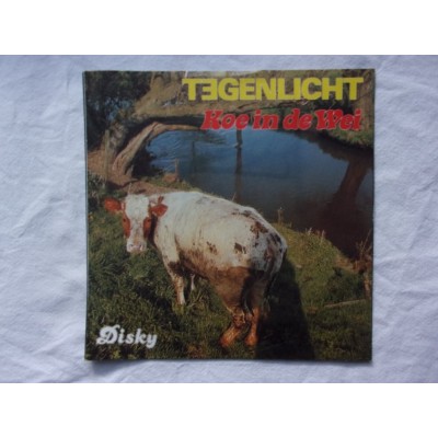 Tegenlicht - Koe in de wei