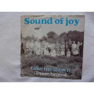 Sound of joy - Take me down