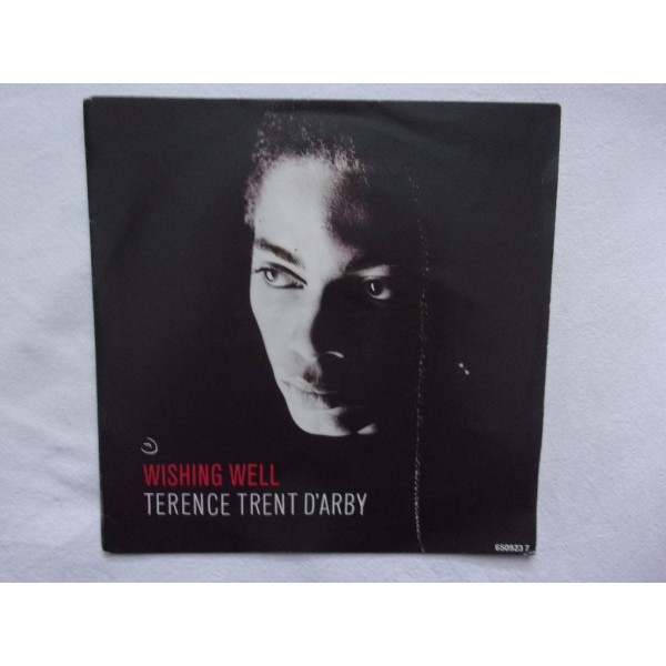 Terence trent darby - Wishing well