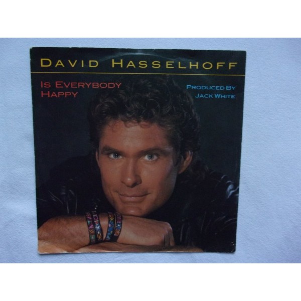 David Hasselhof - Is everybody happy