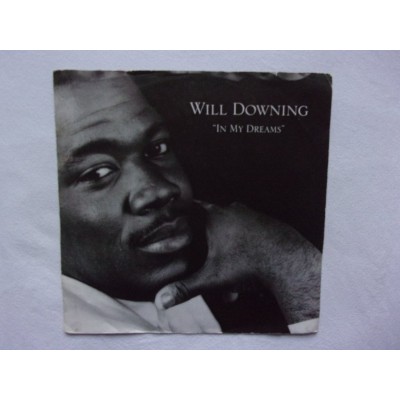 Will Downing - In my dreams