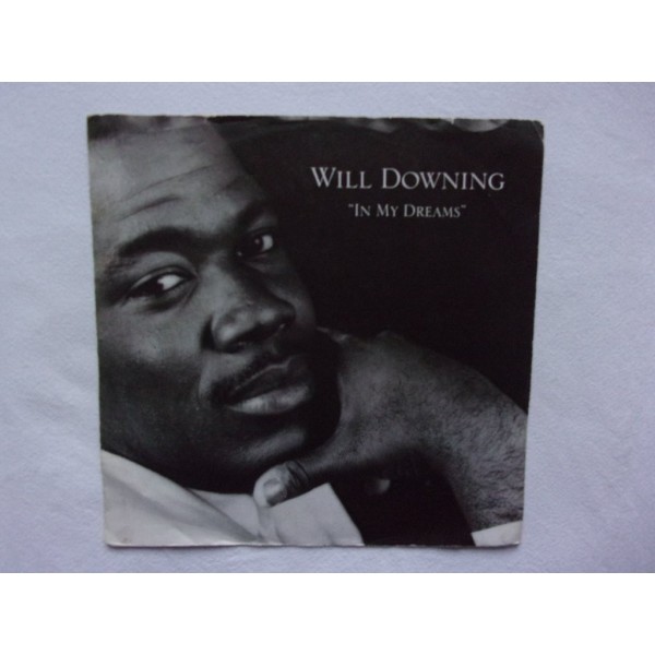 Will Downing - In my dreams