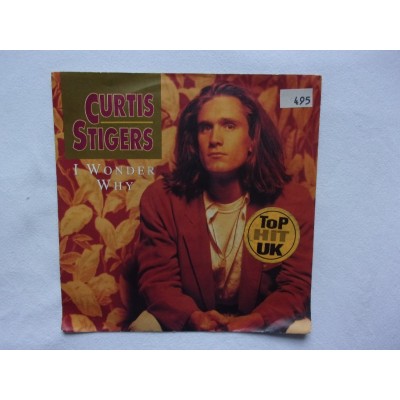 Curtis Stigers - I wonder why