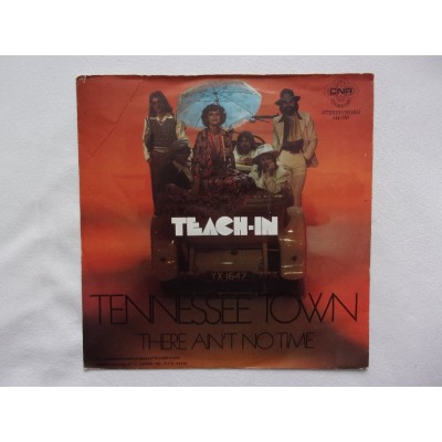 Teach In - Tennessee town