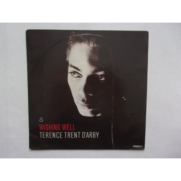 Terence trent darby - Wishing well