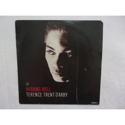 Terence trent darby - Wishing well