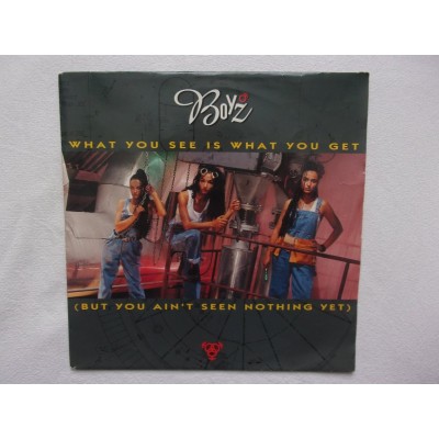 Boyz - What you see is what you get