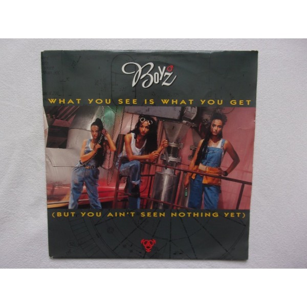Boyz - What you see is what you get