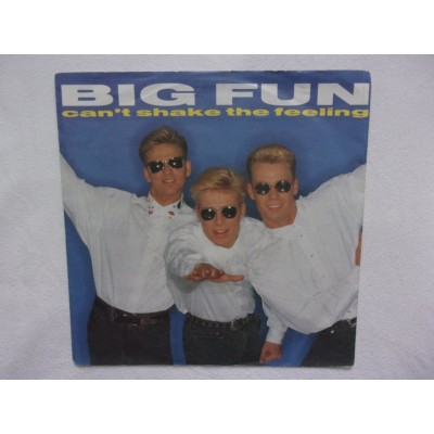 Big Fun - Can't shake the feeling