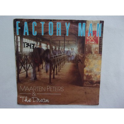 Maarten Peters - Factory man