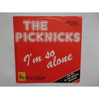 The Picknicks - I'm so alone
