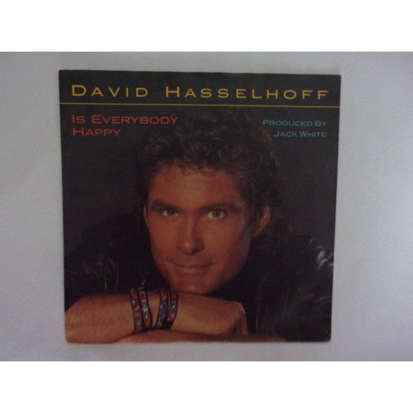 David Hasselhoff - Is everybody happy