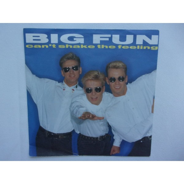 Big fun - Can't shake the feeling