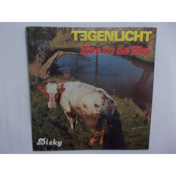 Tegenlicht - Koe in de wei