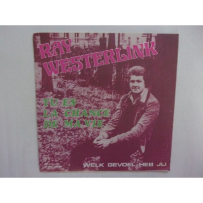 Ray westerlink - Tu es la chance de ma vie