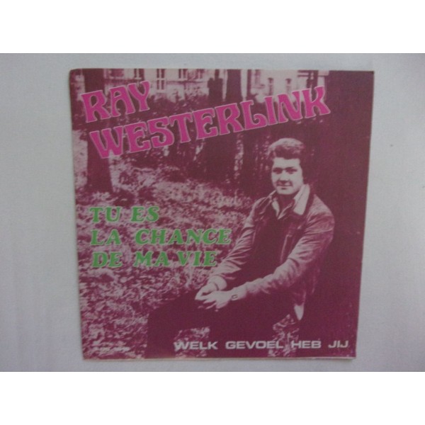 Ray westerlink - Tu es la chance de ma vie