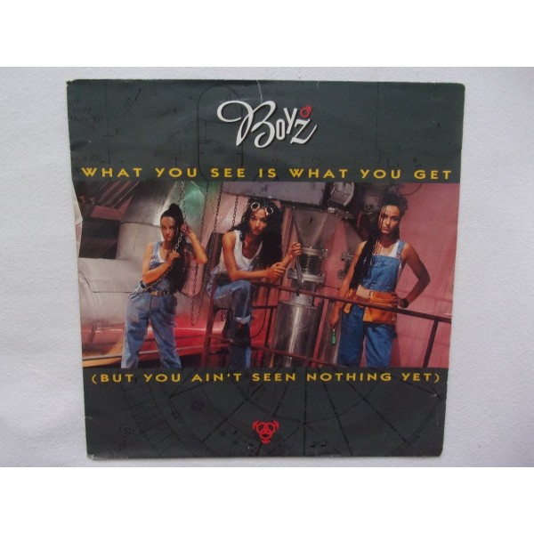 Boyz - What you see is what you get