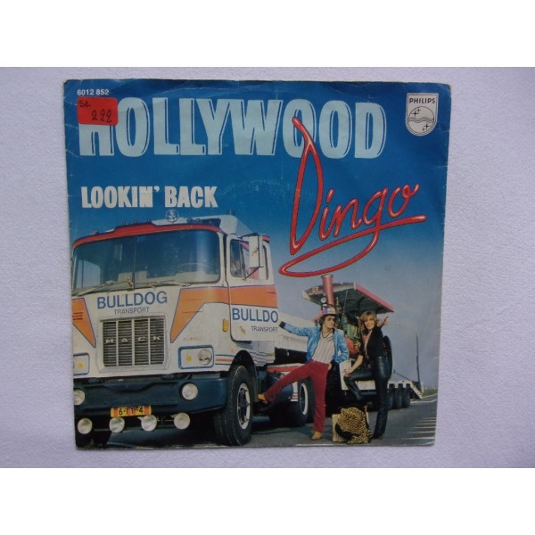 Dingo - Hollywood